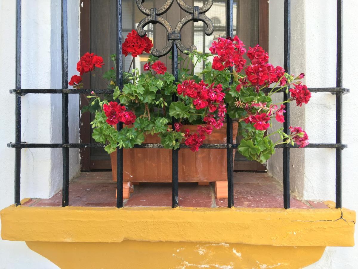 La Escondida Ronda, B&B Zewnętrze zdjęcie